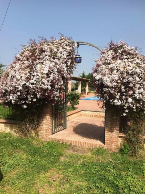 Hotels in Grammichele
